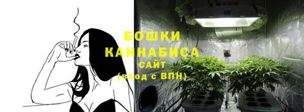 гидра Белоозёрский